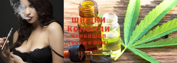 экстази Дмитриев