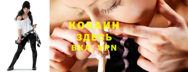 гидра Дмитров