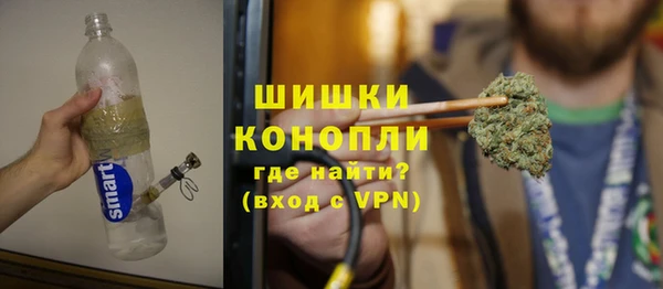 гидра Дмитров