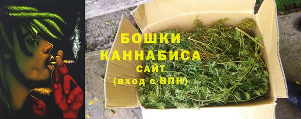 экстази Дмитриев
