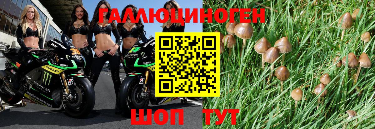  КОКАИН Дятьково