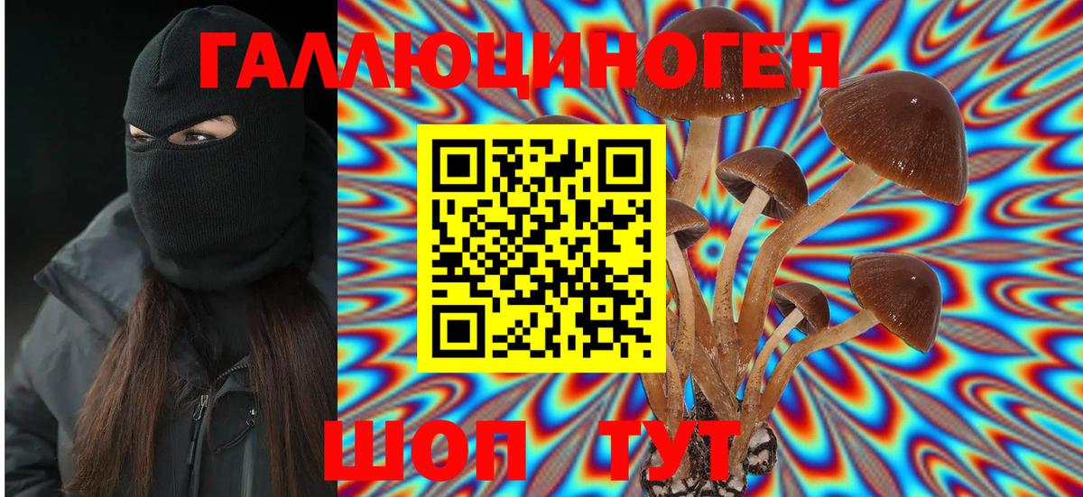 Дятьково  Псилоцибиновые грибы Psilocybine cubensis  Вход с VPN 